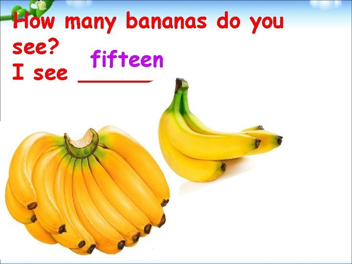 How many bananas do you see? fifteen I see. 