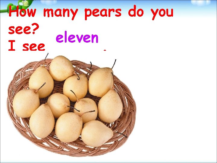 How many pears do you see? eleven I see. 