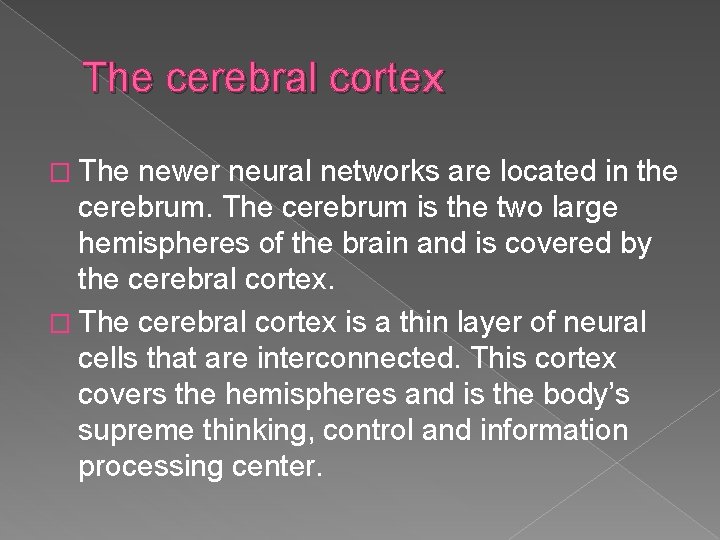 The cerebral cortex � The newer neural networks are located in the cerebrum. The