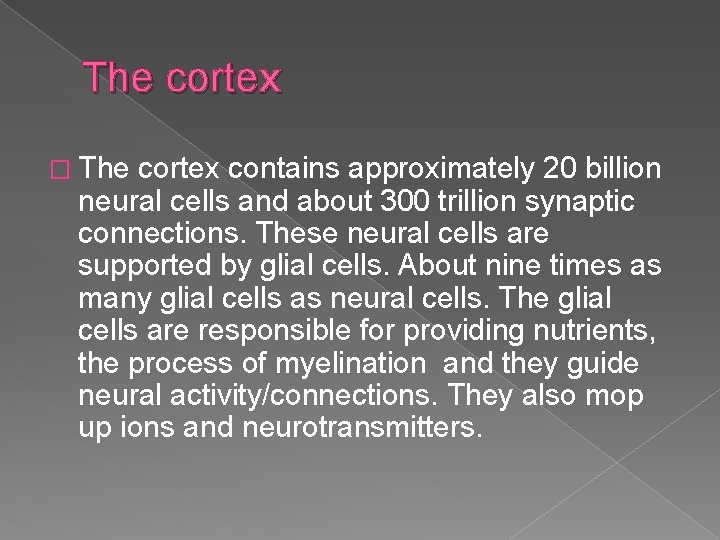 The cortex � The cortex contains approximately 20 billion neural cells and about 300