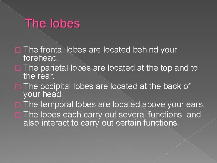 The lobes The frontal lobes are located behind your forehead. � The parietal lobes