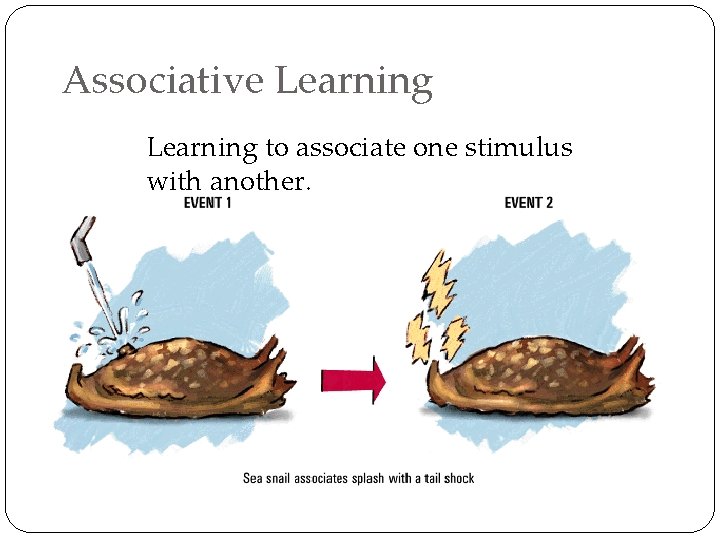 Associative Learning to associate one stimulus with another. 