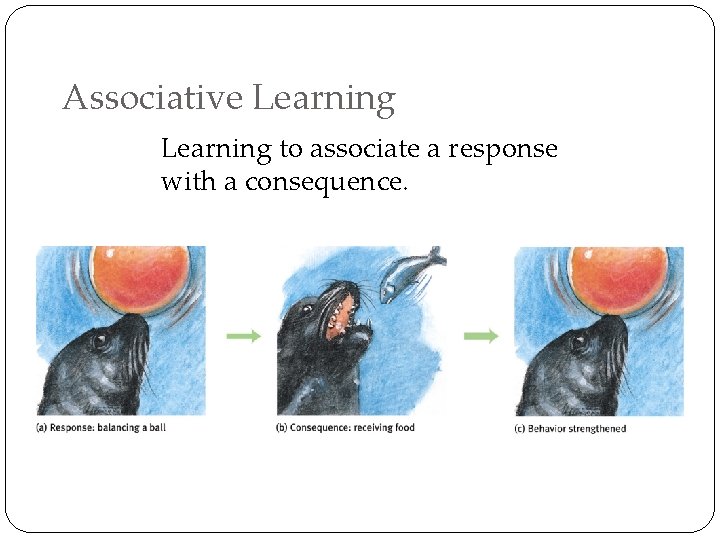 Associative Learning to associate a response with a consequence. 