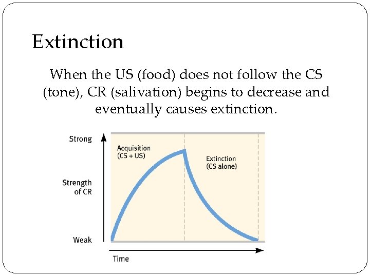 Extinction When the US (food) does not follow the CS (tone), CR (salivation) begins