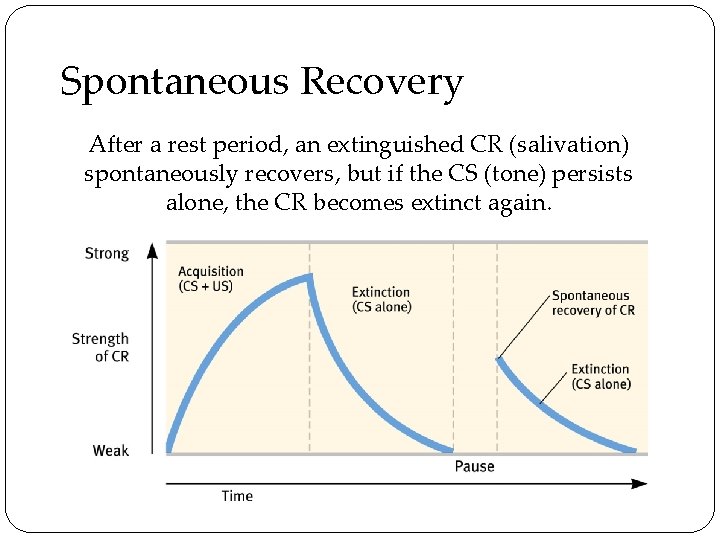Spontaneous Recovery After a rest period, an extinguished CR (salivation) spontaneously recovers, but if