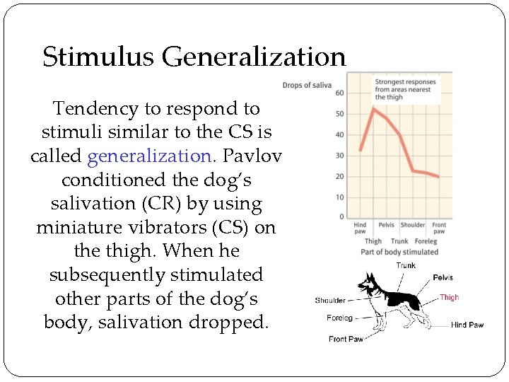 Stimulus Generalization Tendency to respond to stimuli similar to the CS is called generalization.