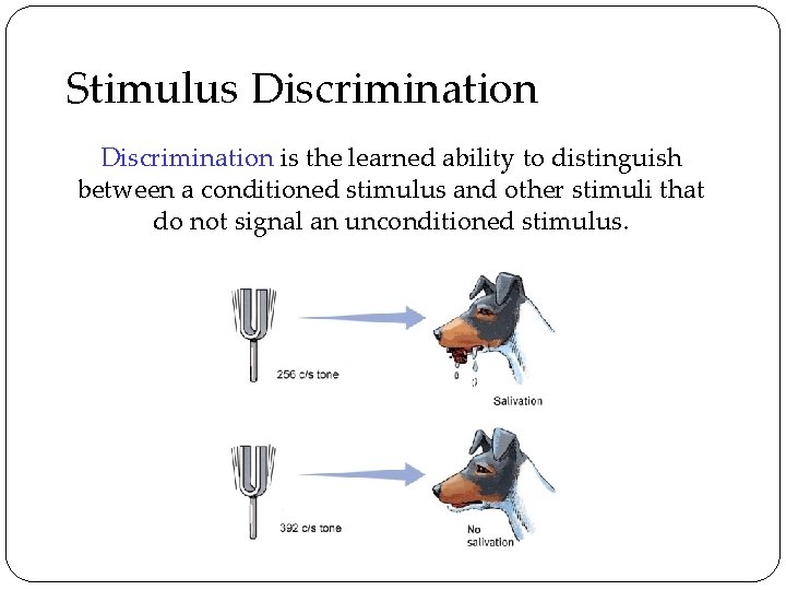 Stimulus Discrimination is the learned ability to distinguish between a conditioned stimulus and other