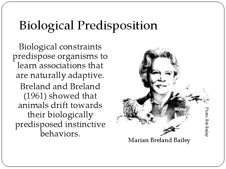 Biological Predisposition Marian Breland Bailey Photo: Bob Bailey Biological constraints predispose organisms to learn