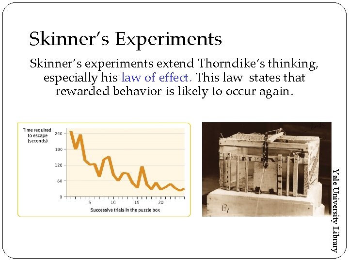 Skinner’s Experiments Skinner’s experiments extend Thorndike’s thinking, especially his law of effect. This law