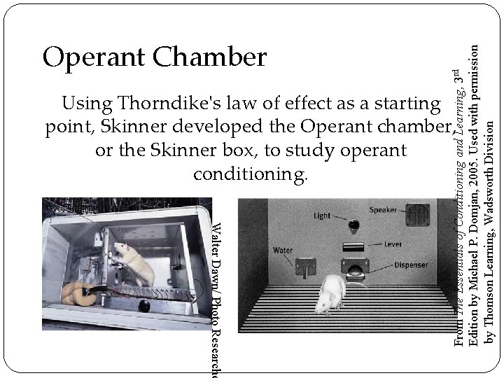From The Essentials of Conditioning and Learning, 3 rd Edition by Michael P. Domjan,