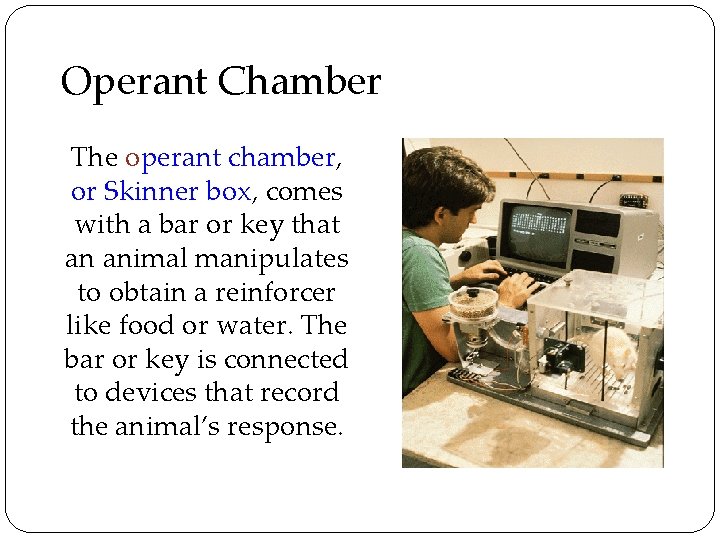 Operant Chamber The operant chamber, or Skinner box, comes with a bar or key