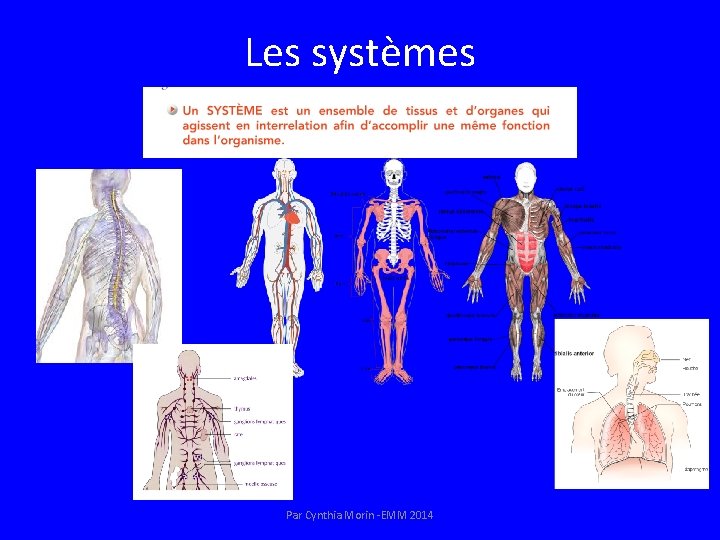 Bloc 1 Les niveaux dorganisation du vivant Rfrences