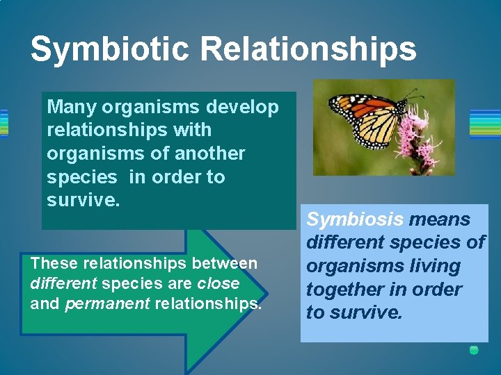 Symbiotic Relationships Many organisms develop relationships with organisms of another species in order to