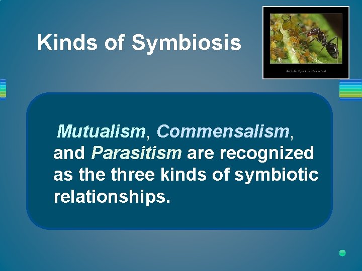 Kinds of Symbiosis Mutualism, Commensalism, and Parasitism are recognized as the three kinds of