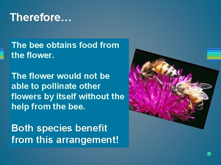 Therefore… The bee obtains food from the flower. The flower would not be able