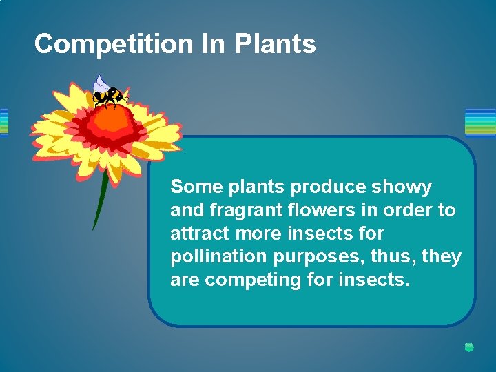 Competition In Plants Some plants produce showy and fragrant flowers in order to attract