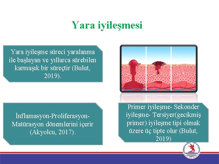 Yara iyileşmesi Yara iyileşme süreci yaralanma ile başlayan ve yıllarca sürebilen karmaşık bir süreçtir