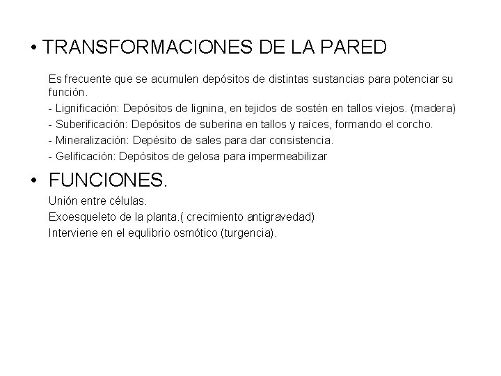  • TRANSFORMACIONES DE LA PARED Es frecuente que se acumulen depósitos de distintas