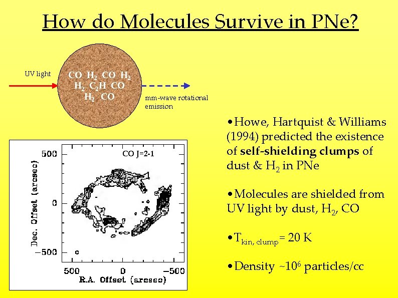 How do Molecules Survive in PNe? UV light CO H 2 H 2 C