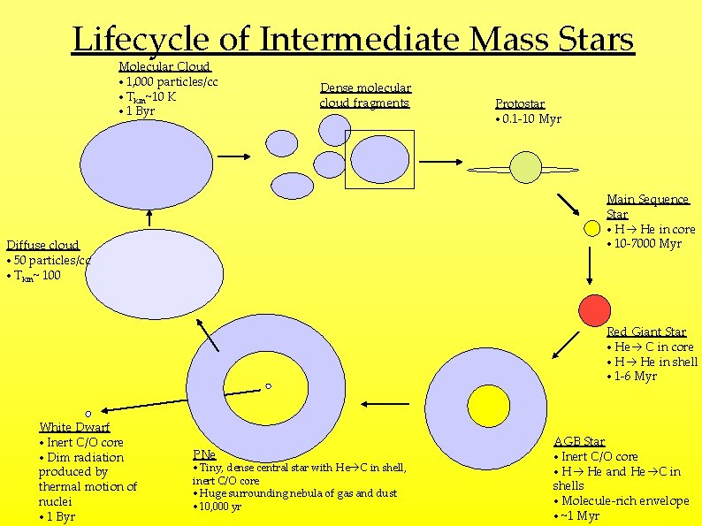 Lifecycle of Intermediate Mass Stars Molecular Cloud • 1, 000 particles/cc • Tkin~10 K
