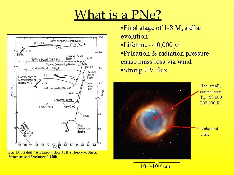 What is a PNe? • Final stage of 1 -8 M stellar evolution •