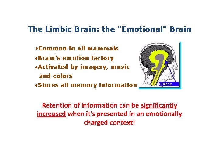 The Limbic Brain: the "Emotional" Brain • Common to all mammals ·Brain's emotion factory