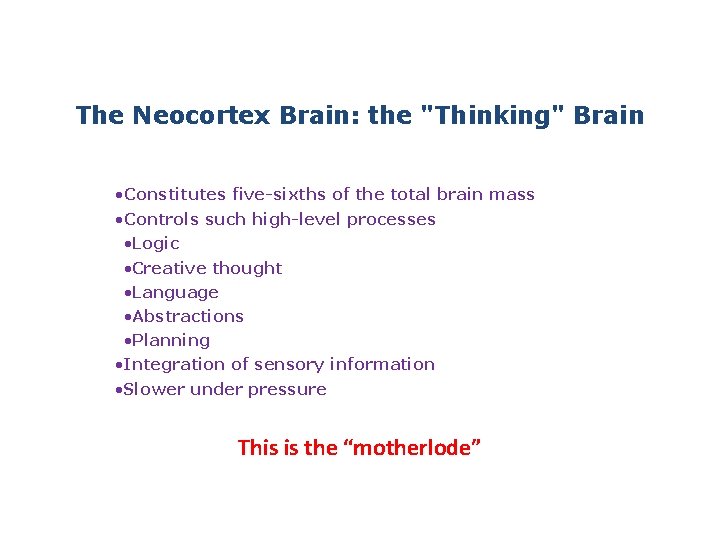The Neocortex Brain: the "Thinking" Brain • Constitutes five-sixths of the total brain mass