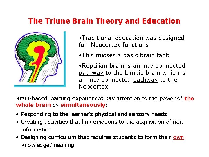 The Triune Brain Theory and Education • Traditional education was designed for Neocortex functions
