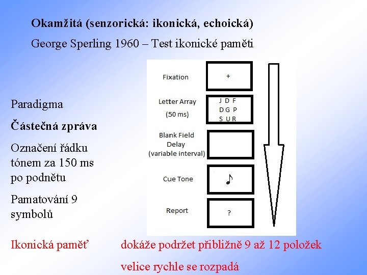 Okamžitá (senzorická: ikonická, echoická) George Sperling 1960 – Test ikonické paměti Paradigma Částečná zpráva