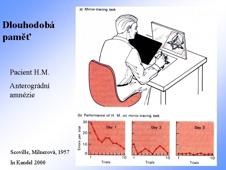 Dlouhodobá paměť Pacient H. M. Anterográdní amnézie Scoville, Milnerová, 1957 In Kandel 2000 