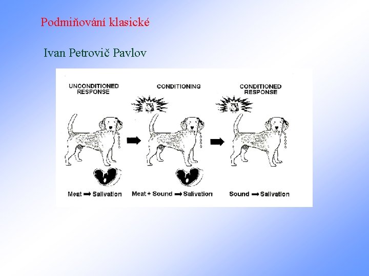 Podmiňování klasické Ivan Petrovič Pavlov 