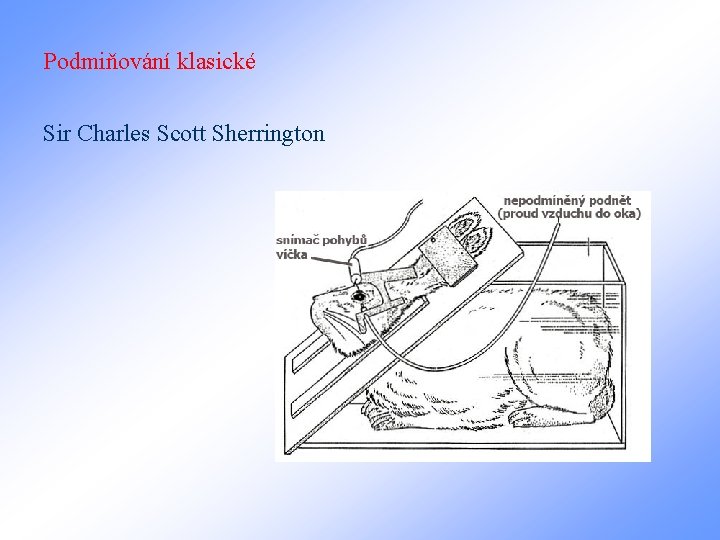 Podmiňování klasické Sir Charles Scott Sherrington 