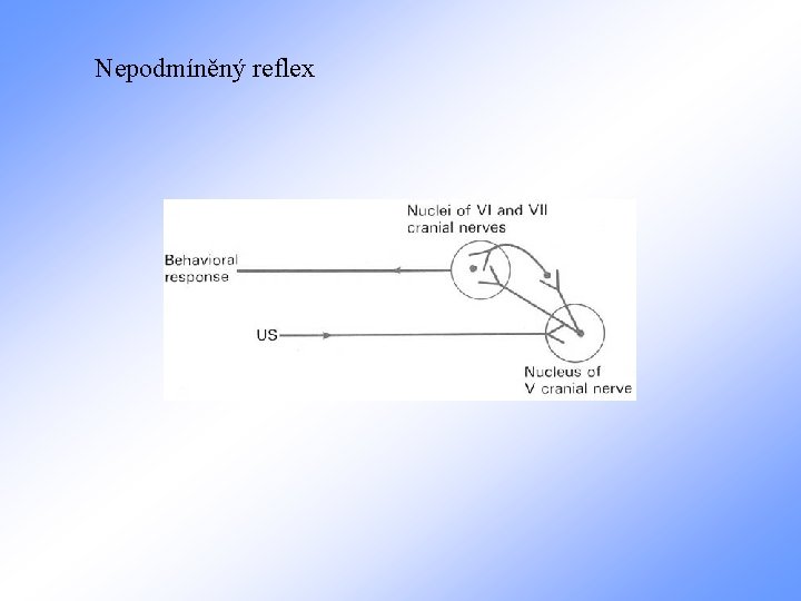 Nepodmíněný reflex 