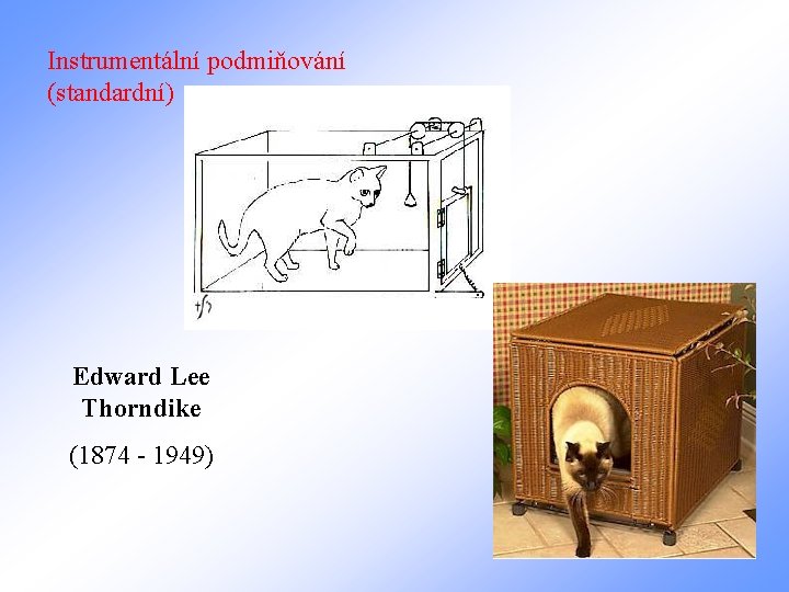 Instrumentální podmiňování (standardní) Edward Lee Thorndike (1874 - 1949) 