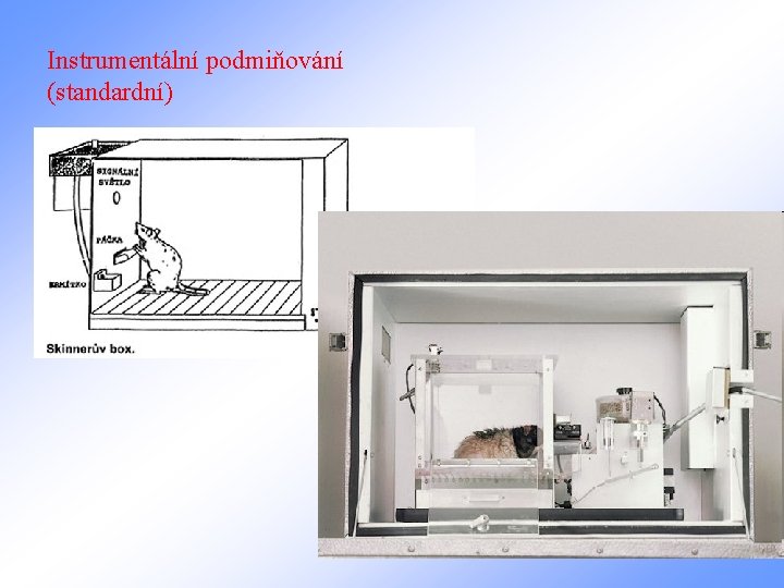 Instrumentální podmiňování (standardní) 