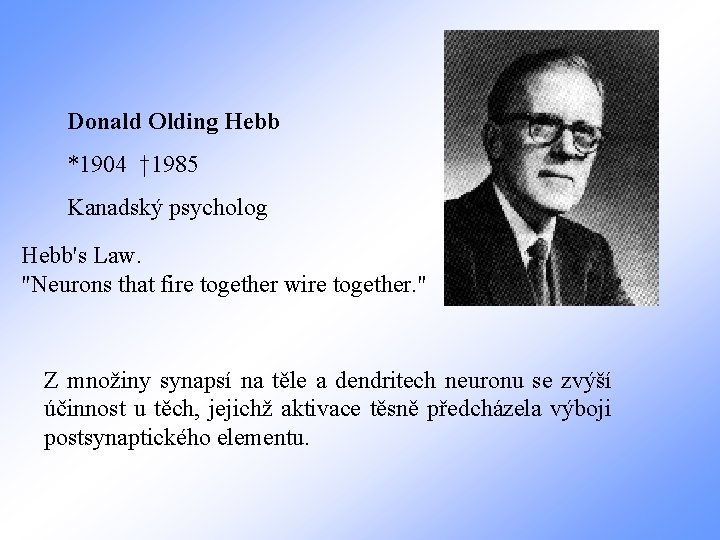 Donald Olding Hebb *1904 † 1985 Kanadský psycholog Hebb's Law. "Neurons that fire together