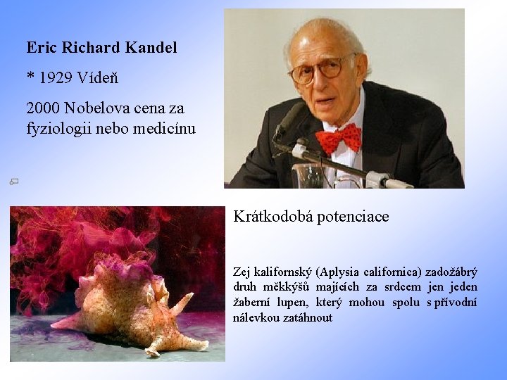 Eric Richard Kandel * 1929 Vídeň 2000 Nobelova cena za fyziologii nebo medicínu Krátkodobá