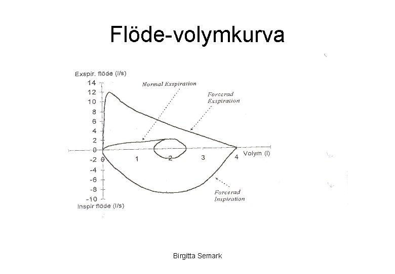 Flöde-volymkurva Birgitta Semark 