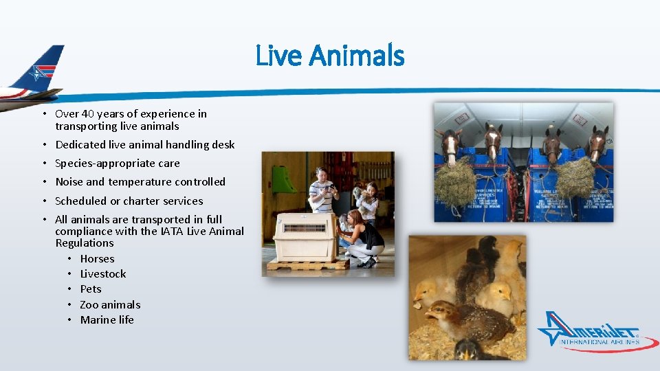 Live Animals • Over 40 years of experience in transporting live animals • Dedicated