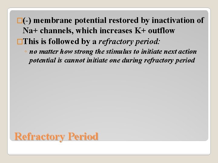 �(-) membrane potential restored by inactivation of Na+ channels, which increases K+ outflow �This