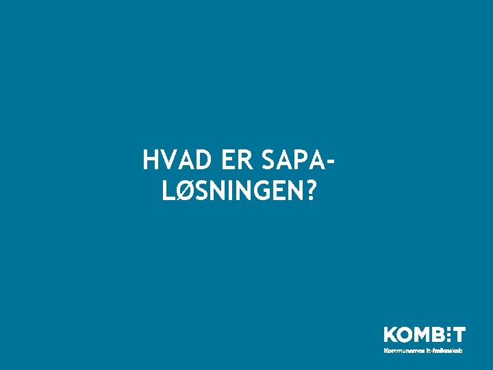 HVAD ER SAPALØSNINGEN? 