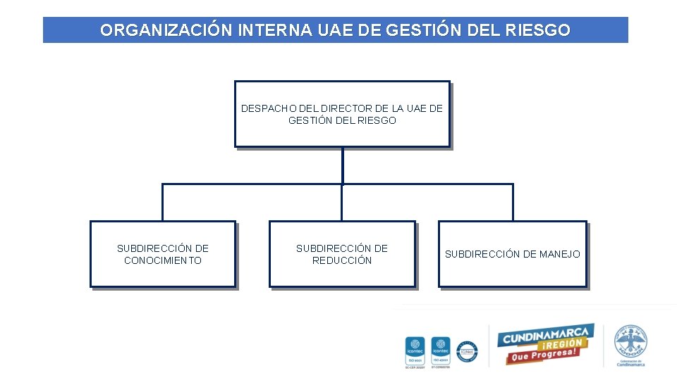 ORGANIZACIÓN INTERNA UAE DE GESTIÓN DEL RIESGO DESPACHO DEL DIRECTOR DE LA UAE DE