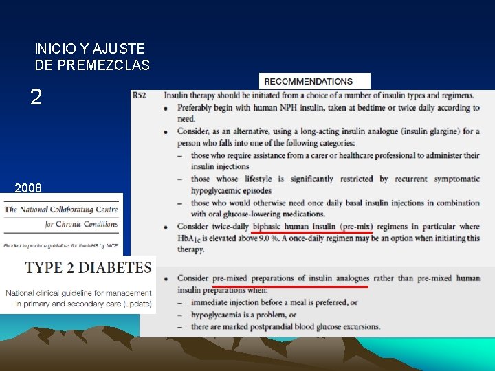 INICIO Y AJUSTE DE PREMEZCLAS 2 2008 