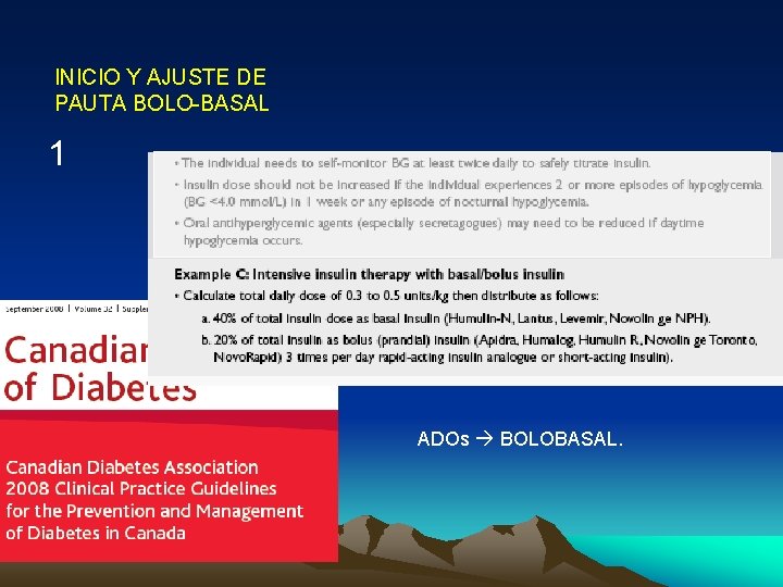 INICIO Y AJUSTE DE PAUTA BOLO-BASAL 1 ADOs BOLOBASAL. 