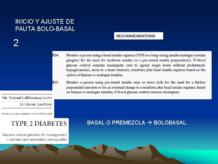 INICIO Y AJUSTE DE PAUTA BOLO-BASAL 2 BASAL O PREMEZCLA BOLOBASAL. 