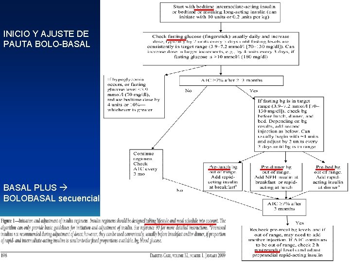 INICIO Y AJUSTE DE PAUTA BOLO-BASAL PLUS BOLOBASAL secuencial. 