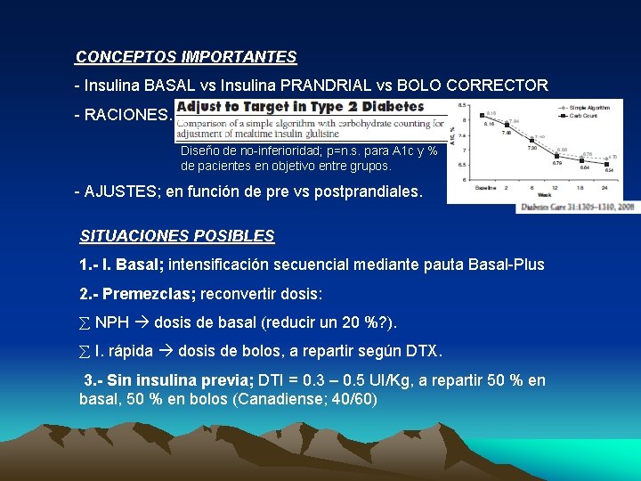 CONCEPTOS IMPORTANTES - Insulina BASAL vs Insulina PRANDRIAL vs BOLO CORRECTOR - RACIONES. Diseño