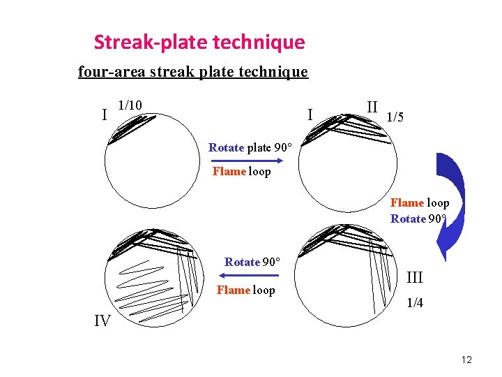 Streak-plate technique four-area streak plate technique I 1/10 I II 1/5 Rotate plate 90