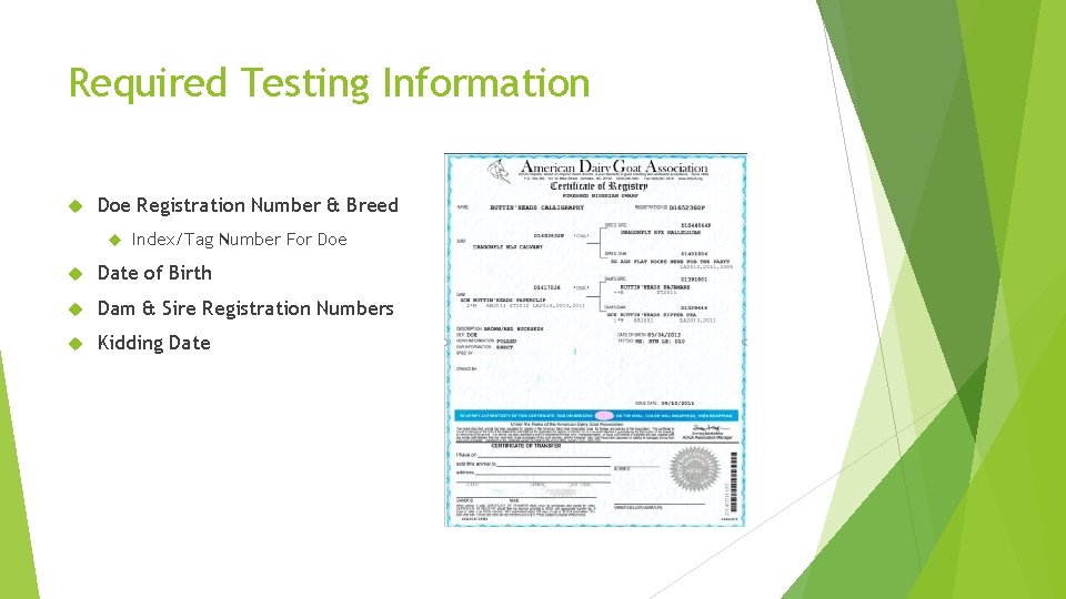 Required Testing Information Doe Registration Number & Breed Index/Tag Number For Doe Date of