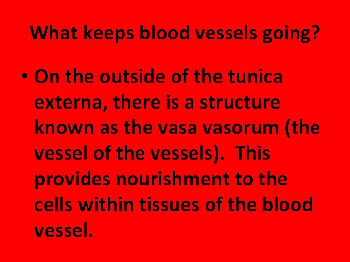 What keeps blood vessels going? • On the outside of the tunica externa, there